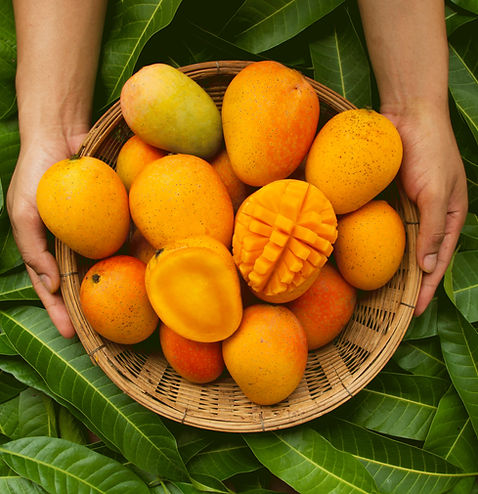 Fresh Mangos