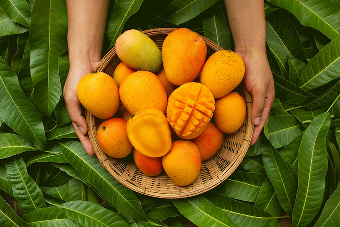 Fresh Mangos