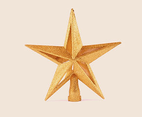 Workforce Leaders Honored as 'Shining Stars'