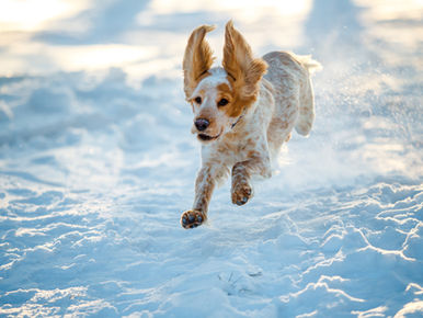 26년 4월 예약 오픈 및 몇 가지 소식