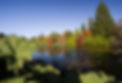 Scenic lake surrounded by vibrant autumn trees and greenery