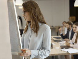 Entrepreneurship Characteristics and Competencies