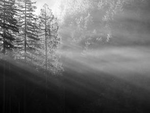 Psychotrauma et Violences sexuelles