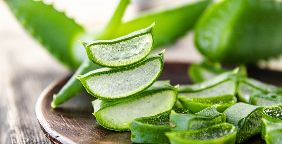 Aloe_Vera