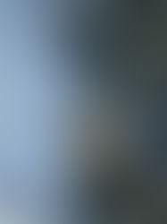 Top 10 Most Popular Winter Scents to Cozy Up Your Home