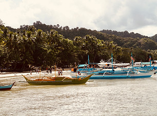 Boats By Shoreline