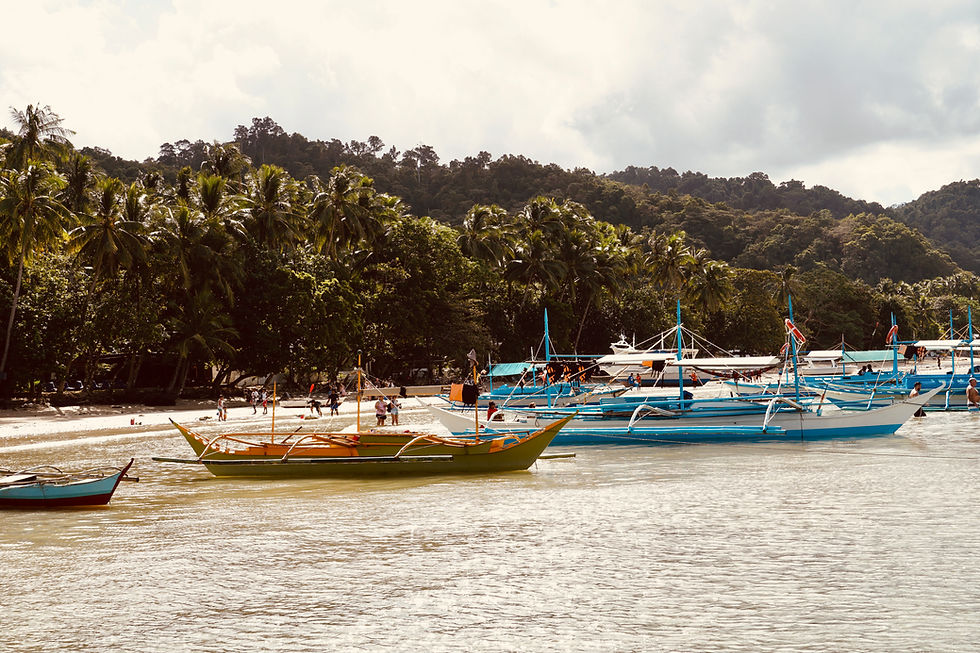 Boats By Shoreline