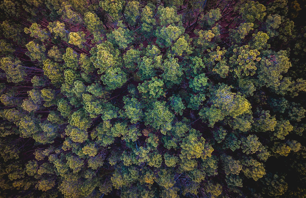 Natuur