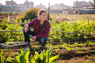 Happy Gardener