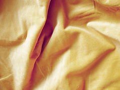 Gold Fabric
