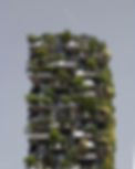 Vertical Garden