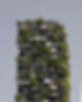 Vertical Garden