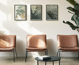 Minimalist Chairs
