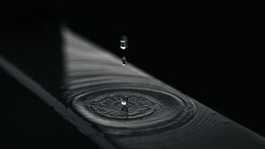 February 2026 Newsletter