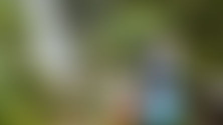 Férias: Confira algumas dicas para as famílias aproveitarem a folga com as crianças de forma lúdica