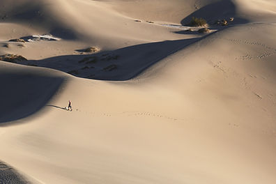 Dunes de sable
