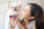 犬と女性