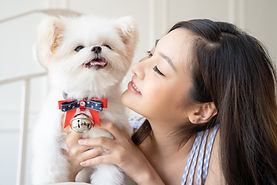 女性 ペット ライフスタイル