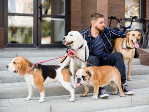 Mikroçip ile yakın takip!