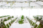 Decorated outdoor wedding table