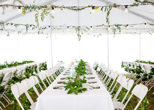Stunning, elegant table and white with natural colors decor set up element of rustic nature 