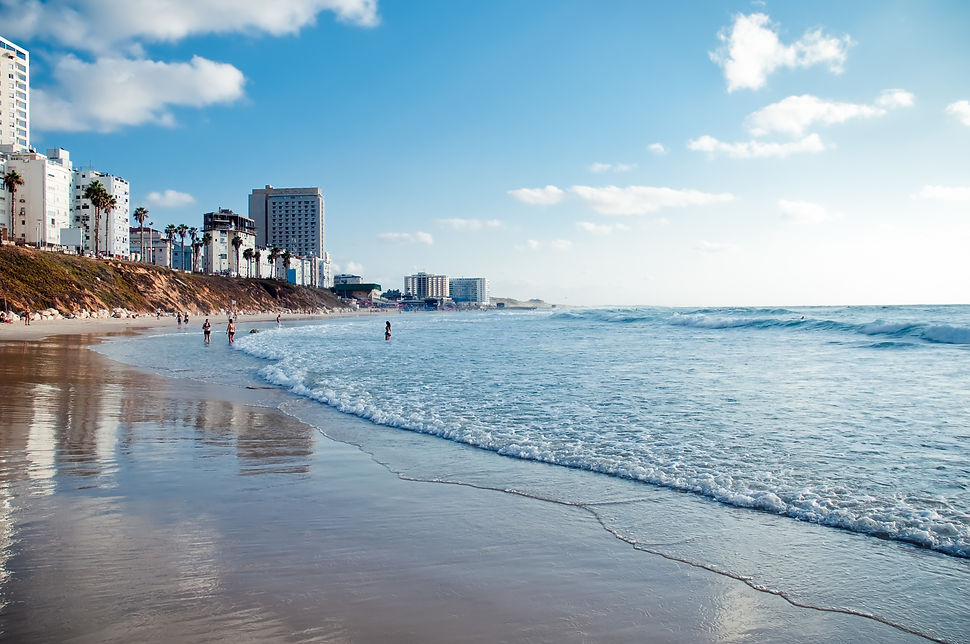 Beachfront Cityscape