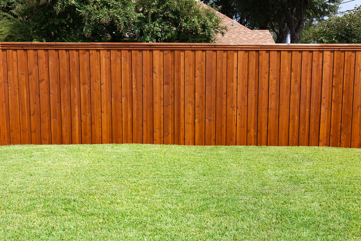 A pleasant sunny backyard with green grass and a nice wood fence