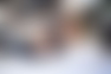 Hayat Arabasının Direksiyonu Kimin Elinde?