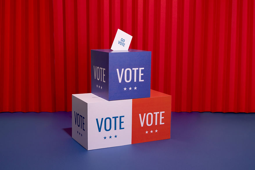 Voting Box Display