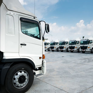 संरक्षण प्रकट हुआ