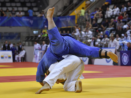 International Chinese Martial Arts Championship