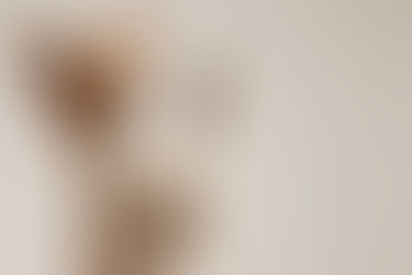 Optimizing Pet Health: Beyond Preventative Care in Jacksonville, FL