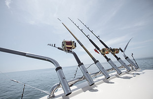 Fishing Reels and Rods