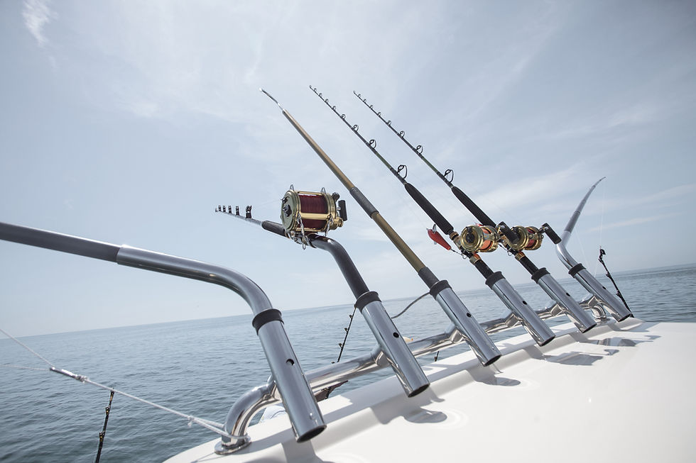 Fishing Rods Setup