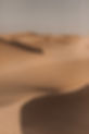 Desert Sand