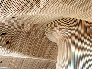 Sustainable Building Materials for Modern Renovations