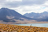 Andean Mountain Landscape