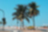Street by the Beach