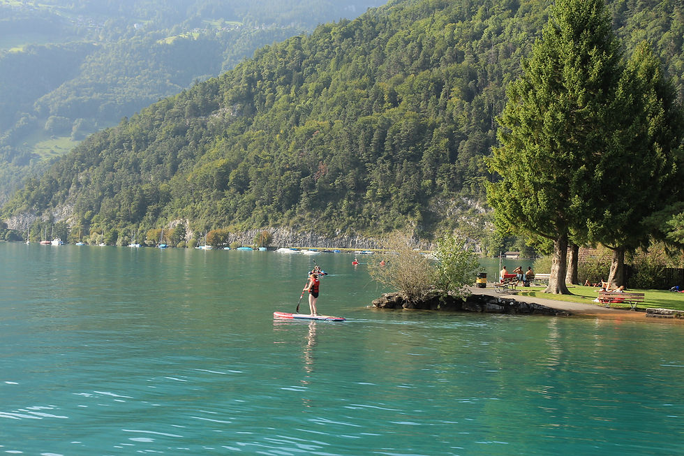 Stand up paddling