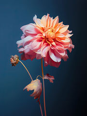 Her scent- expiring glow