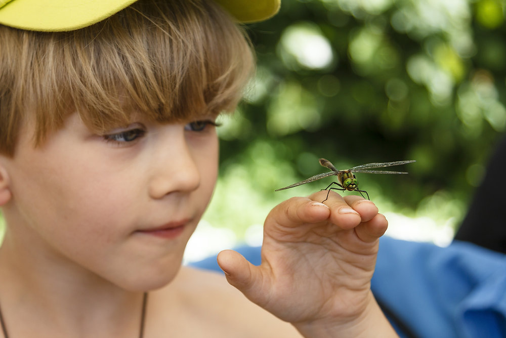 examining-the-effectiveness-of-nature-schools-fostering-holistic