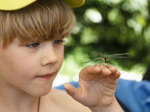 A child exploring nature