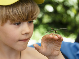 Universal Love Reflection