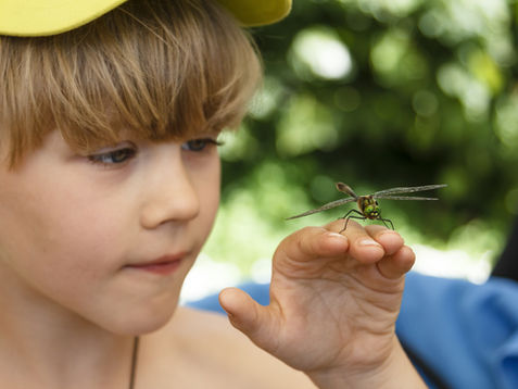 Understanding Autism & ADHD Assessments for Children in the UK