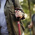 Hikers With Poles