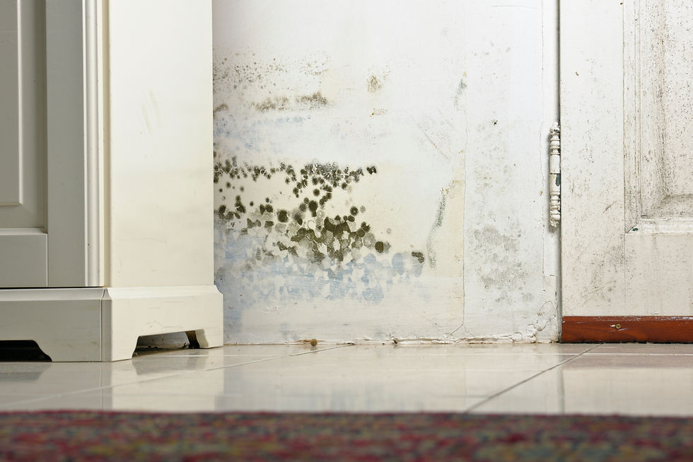 Mold or Mould Stains on Damp Wall and Door behind Cabinet due to condensation caused by la