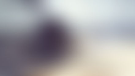 וויקס שירות לקוחות - פתיחת פניה