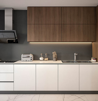 Conception de cuisine moderne