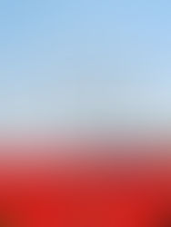 Holanda Reabre Subsídios para Energia Eólica Offshore e Avalia Contratos por Diferença