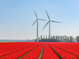 Holanda Reabre Subsídios para Energia Eólica Offshore e Avalia Contratos por Diferença
